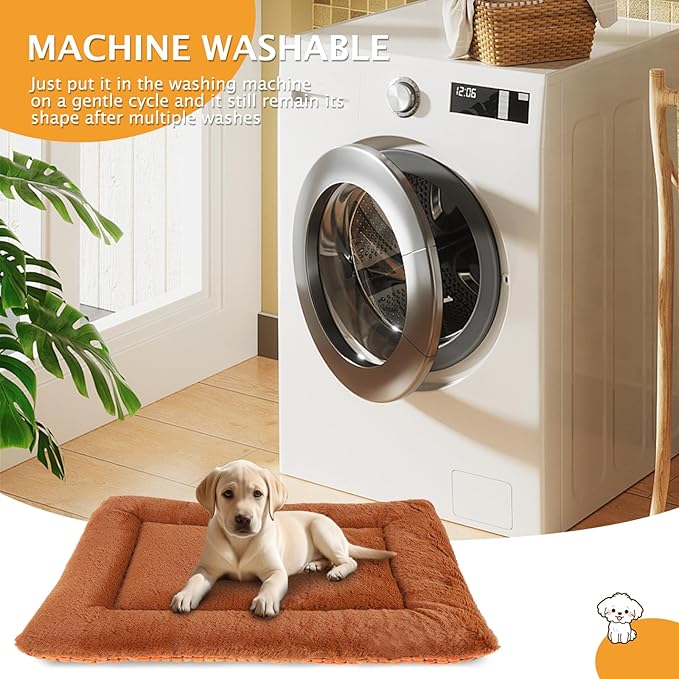 Reversible Dog Bed Mat with Plush and Corn Velvet,Soft Warm Pet Cushion, Dual Purpose Washable Sleeping Mattress Bed for Small Medium Large Dog and Cat XB004 (30"x20", Orange)