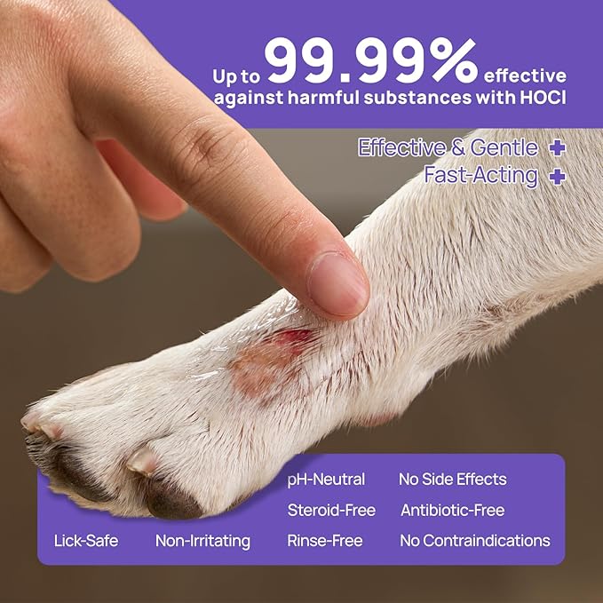 HICC PET Dog Wound Care Hydro Gel, Heals Wounds, Hot Spot Treatment for Dogs, Soothes Inflammation, Prevents Infection, Treats Bites, Scratches & Skin Ulcers, Cat Horse Wound Care Solution, 3.4 Ounces