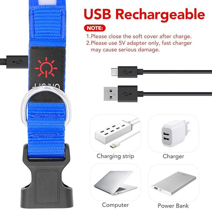 Vizpet LED Dog Collar, Light Up Dog Collar Adjustable USB Rechargeable Super Bright Safety Light Glowing Collars for Dogs(X-Large,Blue)