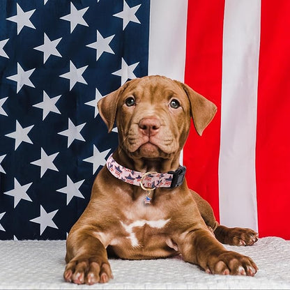 Faygarsle Cotton Dogs Collar Cute 4th of July Independence Day Dog Collars Pink Blue American Flag Star Patterns Dog Collarfor Girl Female Boy Male Small Medium Large Dogs XS