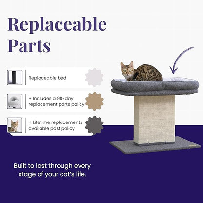 Catry Mellow 2-Level 19" Cat Tree with Large Washable Replaceable Bed, Big Sisal Post, Quick Assembly, Built to Last, Ideal for Small to Large Cats, Grey