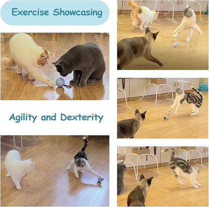 Migipaws Interactive Cat Ball Toy Set, Fun Tracker, Automatic Rolling Chase Ball with Fluffy Tail, A Small Mice, Rechargeable (White)