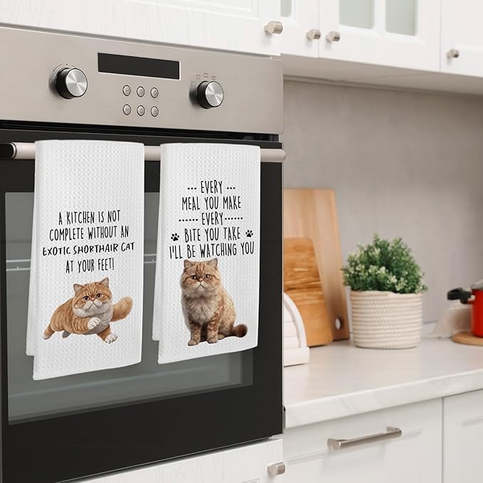 Funny Exotic Shorthair Cat Kitchen Towels, Exotic Shorthair Cat Mom Lady Lovers Gifts for Women Hand Towels, Pet Lover Gifts Dishcloths Dish Towel for Kitchen 16x24 Inches Set of 2