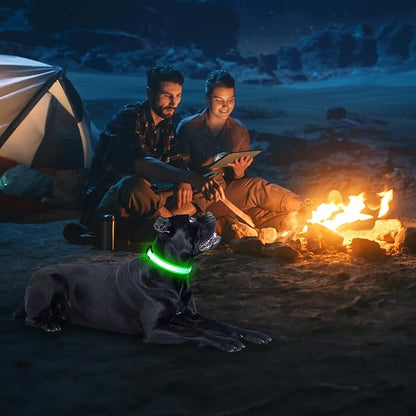 LED Dog Collar, USB Rechargeable Light Up Dog Collars, Adjustable Glow Collars for Dogs, Reusable Safety Dog Collar for Small, Medium, Large Dogs (Green, Small)
