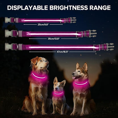 Light Up Dog Collar, Adjustable USB Rechargeable Glow in Dark Dog Collar ，Waterproof Dog Collars for Small Dogs (Pink, Small)