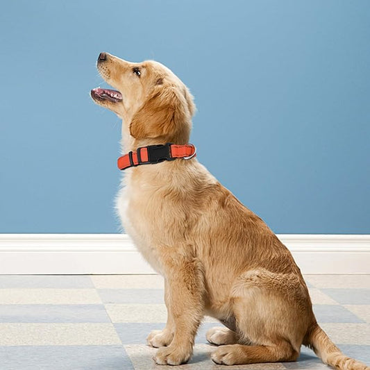 Reflective Dog Collar, Adjustable Soft Neoprene Padded Nylon Pet Collars with Buckle for Small Dogs, Orange,S