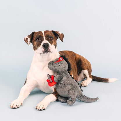 Fringe Studio Plush Dog Toy, Rocker Rex, Pet Shop Collection (314214)
