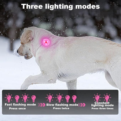 AHJ Dog Collar Light, 2 Pack Dog Safety Lights for Night Walking, USB-C Rechargeable Dog Light Clip-On LED for Kids' Backpacks, Dogs, Runners, Joggers, Cyclists, Camping & Hiking (Pink and Blue)