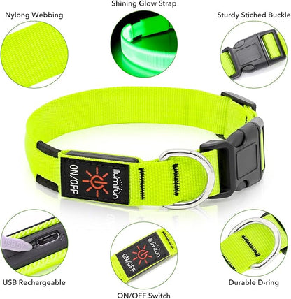 Illumifun LED Dog Collar, Light Up Dog Collar Rechargeable Glow in Dark Pet Collar Safety Dog Lights for Night Walking Camping (Green, Large)