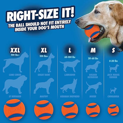 Chuckit! Ultra Tug Dog Toy, Small Fetch and Dog Ball Tug Toy for Dogs 0-20 Pounds
