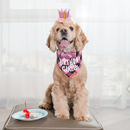 ADOGGYGO Dog Birthday Party Supplies, Multi Size Offered, Birthday Girl Dog Bandana, Pink Puppy Party Hat Crown with Numbers for Small Puppies Pets (Small)
