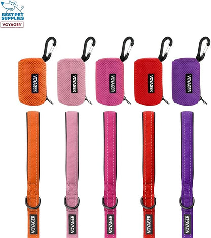 Best Pet Supplies 2-Pack Dog Poop Bag Holder Leash Attachment, Color, Reusable Mesh Dispenser Pouch for Travel, Walking, Park, and Outdoor Use, Soft and Durable with Clip-On - Mesh Blue