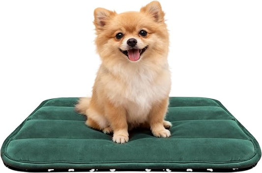 Dog Bed Mat, Reversible Dog Crate Pad with Washable Kennel Mat and Soft Foam, Flat Pet Bed for Dogs & Cats, for Crates Carriers & Travel (Green, 23" L*14" W*1.5" Th)