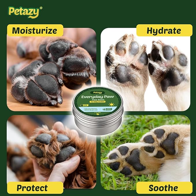 Everyday Dog Paw Balm for Dogs - Daily Paw & Nose Moisturizer, Prevents Dry Cracked Paws, Natural Paw Wax with Beeswax, Shea Butter, Coconut Oil, Wheat Germ, & Vitamin E