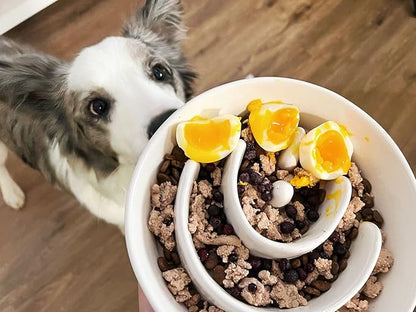 Slow Feeder Dog Bowl - 1.5 Cups Ceramic Puzzle Feeder for Small & Medium Breeds, Maze Design Bowl for Puppy & Fast Eaters, White Pet Dish to Control Eating Speed