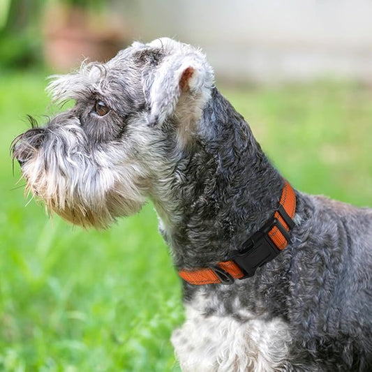 Joytale Reflective Dog Collar, Soft Neoprene Padded, Metal D-Ring, Nylon Pet Collar Adjustable for Medium Dogs, Orange, M