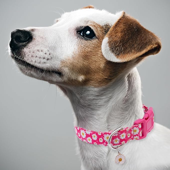 Faygarsle Cotton Dog Collar Cute Dog Collars for Small Medium Large Dogs Hot Pink Floral Colored Options Soft and Fancy Pet Collars for Girls Flower Pattern for Girl Dog Collar S