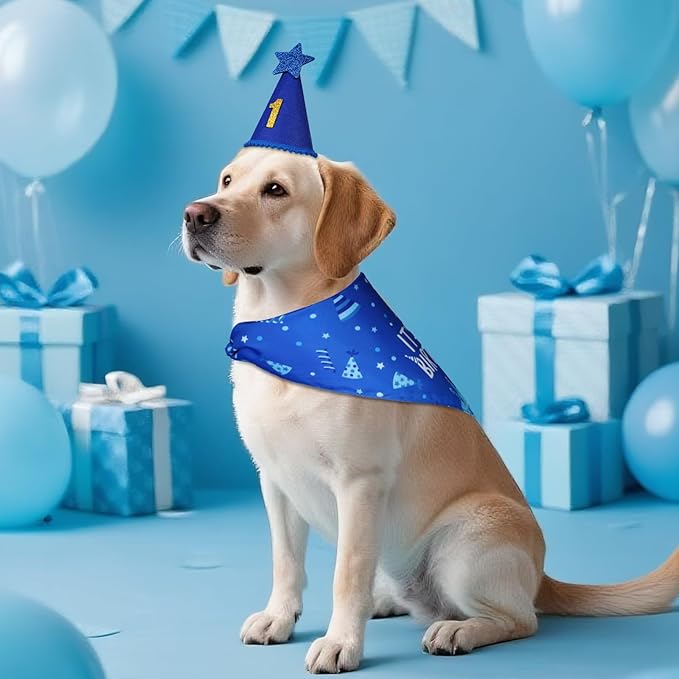 Dog Birthday Party Supplies, Blue Dog Birthday Set with Hat Bandana Numbers for Small Boy Pets Puppy