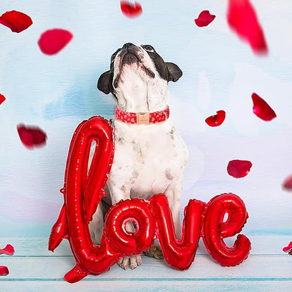 Valentines Dog Collar, Red Pink Heart Valentine Pet Collar with Metal Buckel, Durable Adjustable Holiday Dog Collars for Small Medium Large Dogs XS