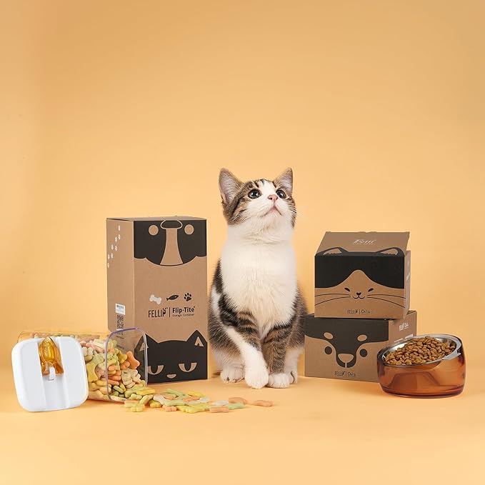 Felli Oblik Elevated Cat Bowl Removable Stainless Steel Wide Dish for Dry Wet Food Feeding & Dishwasher Clean, Slanted Whisker Fatigue Friendly Metal Plate (Smoky, 0.5 Cups Shallow Dish)