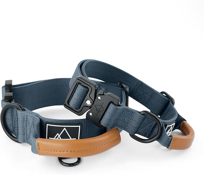 Made to ROAM Premium Explorer Control Collar - Adjustable Heavy Duty Nylon Dog Collar with Quick-Release Metal Buckle and Handle (Colorado Nightsky, Control Size 3)
