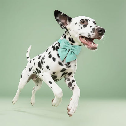 Maca Bates Mint Green Dog Collar with Cute Solid Sailor Bow Tie for Extra Small Girl Boy Dogs,Adjustbale Durable Breakaway Soft Collars with Bowtie for Female Male Puppy,Pet with Metal Buckle