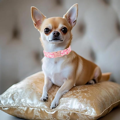 Dainty Daisy Dog Collar, Spring/Summer Pink Floral Girl Dog Collars, Adjustable Heavy Duty Cottagecore Female Dogs Collar for Small Medium Large Dogs with Metal Buckle XS