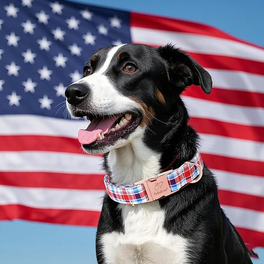 Adjustable Plaid Boy Dog Collar - Classic Boy Dog Plaid Collars for Giant Large Dogs, Durable Red White Blue Heavy Duty Metal Buckle Pet Collar XL