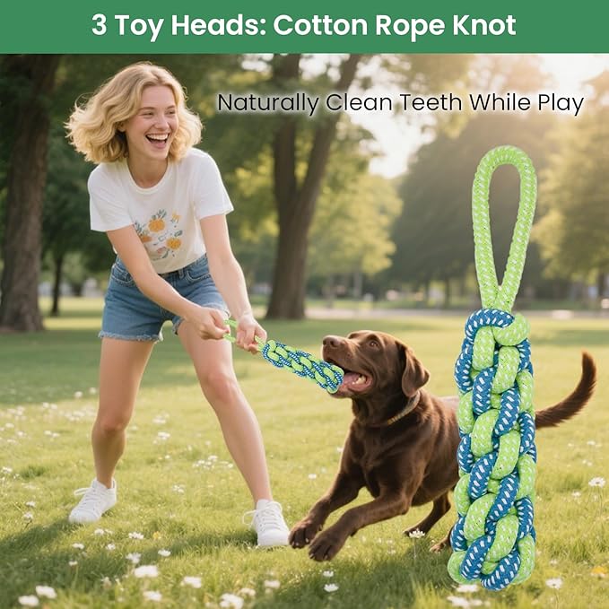 Dog Bungee Tug of War Toy, 4 Pieces Gift for Puppy/Small/Medium Dogs, Indoor Spring Pole Hang Over Door Frame, Outdoor Tether Tug Rope for Yard/Tree, Interactive Pull Toy for Self Play