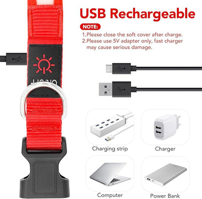 Vizpet LED Dog Collar, Light Up Dog Collar Adjustable USB Rechargeable Super Bright Safety Light Glowing Collars for Dogs(Small,Red)