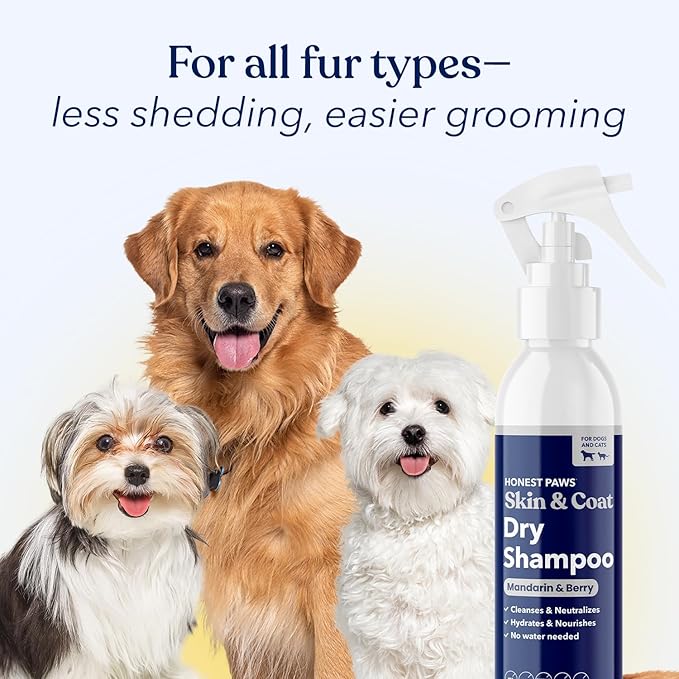 Honest Paws Dog Dry Shampoo - Waterless No Rinse Spray Formula Reducing Itch Cleanse Hydrate Nourish Dry Skin and Smelly Coat Help Decrease Odor Shedding and Allergies - Mandarin & Berry - 8 oz