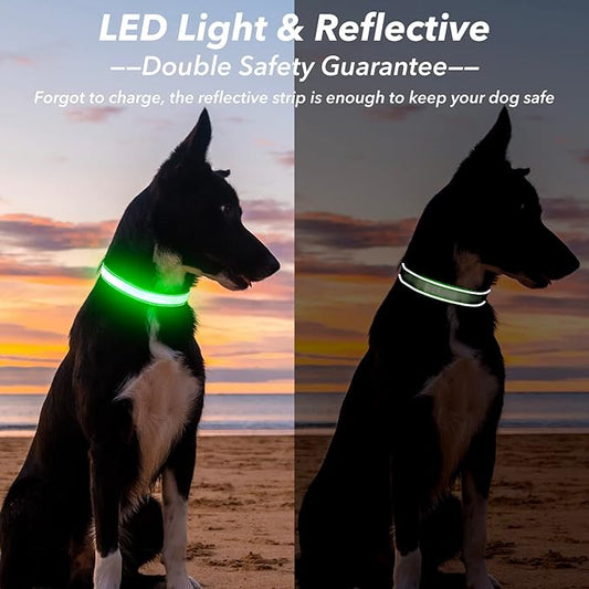 Visinite Light Up Dog Collar, Reflective LED Dog Collar, Adjustable Lighted Dog Collars Rechargeable Waterproof, Bright Dog Glow Collar for Pet Safety at Night Walking, Fit Large Medium Dogs