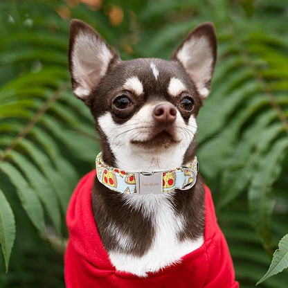 Unique style paws Dog Collar Metal Buckle Pizza Collar Gift Durable Cute Collar for Small Medium Large Boys Girls Dogs