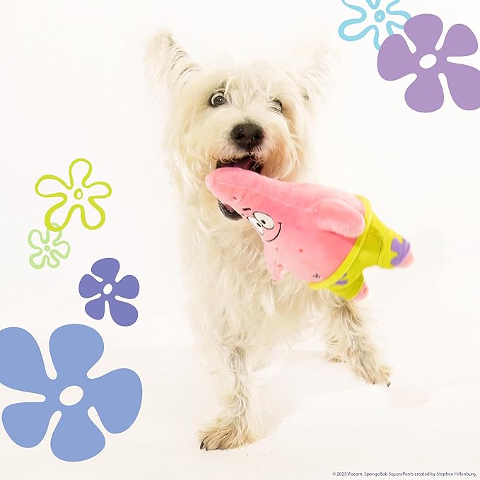 design LAB, Inc. Spongebob Squarepants Official Merchandise | Squeaky Plush Toys for Dogs | 2-Pack Patrick Starfish and Life Preserver | Dog Toys with Squeaker & Rope to Tug and Play