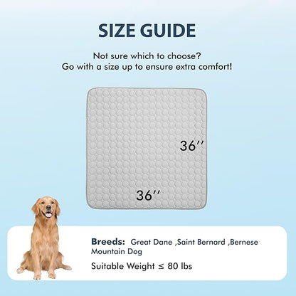 MICROCOSMOS Summer Cooling Mat & Sleeping Pad- Water Absorption Top, Materials Safe, Easy Carry, EZ Clean. Keep Cooling for Pets, Kids and Adults.(Grey, 36" x36")