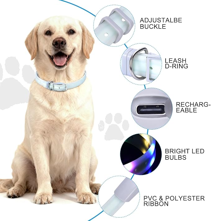 Lighted Dog Collar, Rechargeable Light Up Pet Collar, Waterproof LED Dog Collar Glow in The Dark, Make Pet Visible and Safety for Night Walking for Small Medium Large Dogs (Purple)