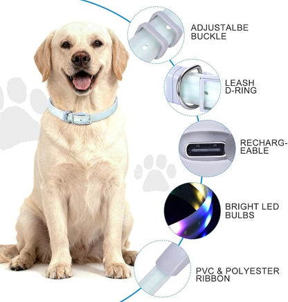 Lighted Dog Collar, Rechargeable Light Up Pet Collar, Waterproof LED Dog Collar Glow in The Dark, Make Pet Visible and Safety for Night Walking for Small Medium Large Dogs (Purple)