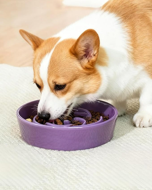 TRUVIC Ceramic Slow Feeder Dog Bowls, 1.5 Cup Puzzle Slow Feeder Bowls for Fast Eaters, Ceramic Dog Food Dish no Black Chin, Puzzle Bowl for Medium Dogs, Purple