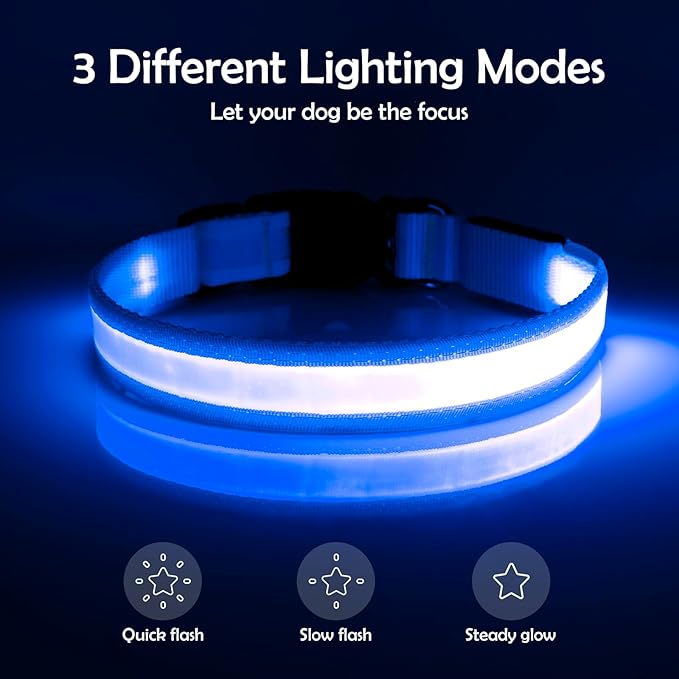 Vizpet LED Dog Collar, Light Up Dog Collar Adjustable USB Rechargeable Super Bright Safety Light Glowing Collars for Dogs(X-Large,Blue)