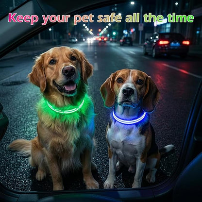 LED Light Up Dog Collar for Night Walking, Rechargeable Safety Glow Illuminated Collar with 3 Modes Flashing, Reflective Adjustable Pet Light for Small/Medium Dogs Puppy 15-19" Neck 1 Pack (Blue)