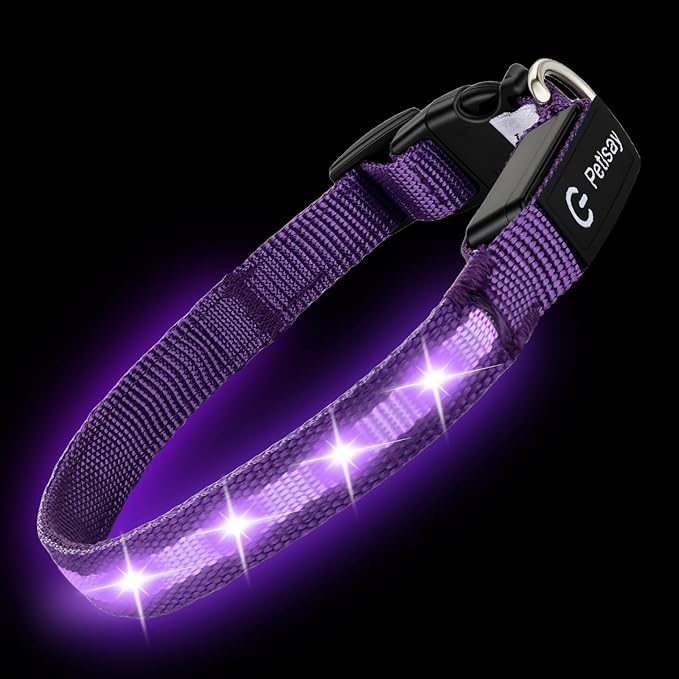 LED Dog Collar for Small Dogs Cats - Fully Waterproof & Adjustable Glow Collar - USB-C Rechargeable for Night Walking, Safety - Flashing Lighted Collar for Dogs(Purple,XS)