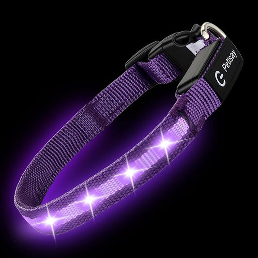 LED Dog Collar for Small Dogs Cats - Fully Waterproof & Adjustable Glow Collar - USB-C Rechargeable for Night Walking, Safety - Flashing Lighted Collar for Dogs(Purple,XS)