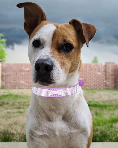 Bling Dog Collar for Small Medium Large Dogs, Crown Rhinestone Dog Collars for Girl and boy Dog, Diamond Puppy Collars, Adjustable Leather Suede SOFE Cat Collar (S(10.6"-13"/27CM-33CM), Rose Red2)