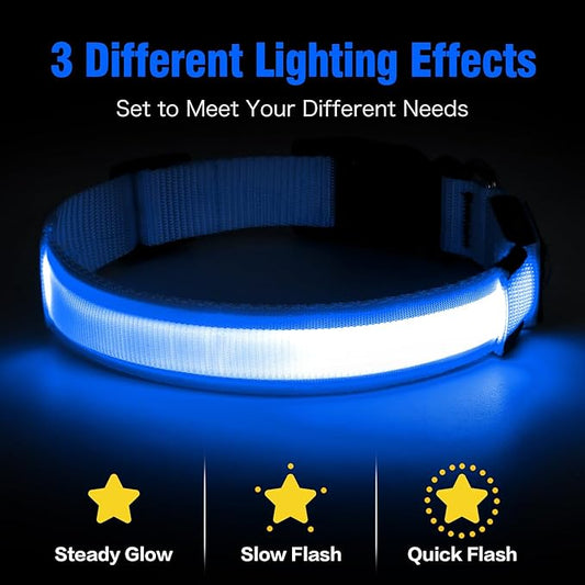 Illumifun LED Collar for Dogs, USB Rechargeable Light Up Dog Collars Glow in The Dark (Blue, Small)