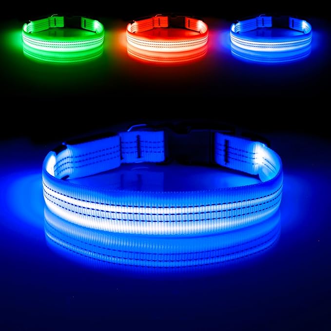 Illumifun LED Dog Collar - USB Rechargeable Dog Light Up Collar, Reflective Pet Collar Light Glow in The Dark (BlueⅢ, Medium)