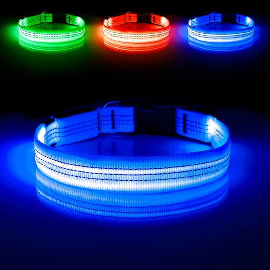 Illumifun Light Up Dog Collar, USB Rechargeable LED Dog Collar, Adjustable Reflective Lighted Pet Collar for Night Walking Camping (BlueⅢ, Large)