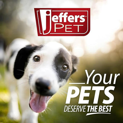 Jeffers Pet Plush Dog Toy with Squeaker, Christmas Reindeer 12"- Durable & Safe for Puppies & Dogs, Holiday Stocking Stuffer, Soft Interactive Play, Fetch & Tug Pet Toy, Best Gift for Active Games