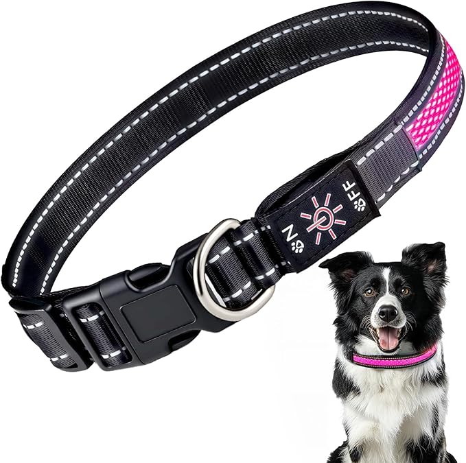 Light Up Dog Collar: Rechargeable Waterproof Safety Pet Accessories - Glow in The Dark Dogs Collars for Night Walking - Best Flashing Neon Pink Lights and Glowing Lighted Gear in Nite Time