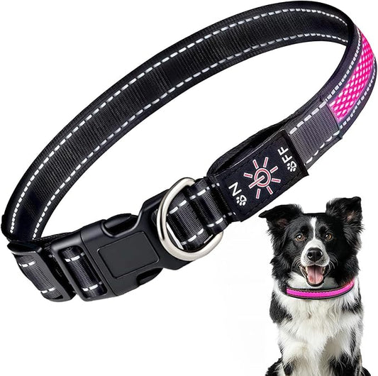 Light Up Dog Collar: Rechargeable Waterproof Safety Pet Accessories - Glow in The Dark Dogs Collars for Night Walking - Best Flashing Neon Pink Lights and Glowing Lighted Gear in Nite Time
