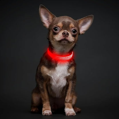 Illumifun Light Up Collar for Small Dogs, USB Rechargeable LED Dog Collar Glow in The Dark, Adjustable Cat Collar Light for Night Walking Camping (Red, X-Small)